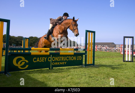dh County Show KIRKWALL ORKNEY Brown concours de saut à cheval événement clôture show Ground ring uk Banque D'Images