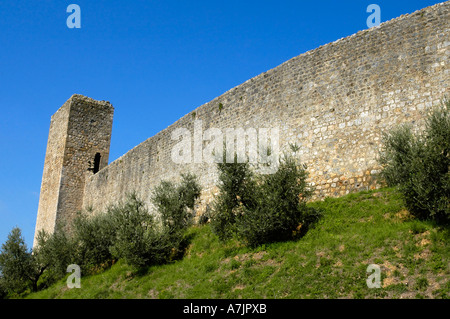 Gros plan des murs protecteurs de Monteriggioni Toscane Italie Banque D'Images