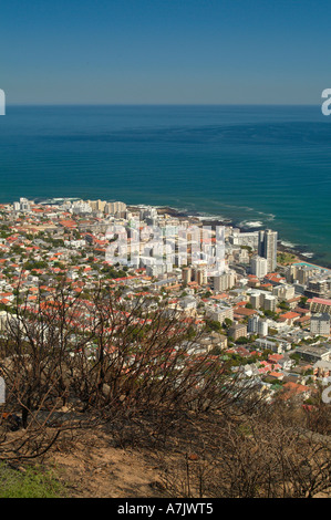 Vue sur Sea Point brûlé avec Bush en premier plan à la suite d'un feu de Signal Hill Cape Town Afrique du Sud Banque D'Images