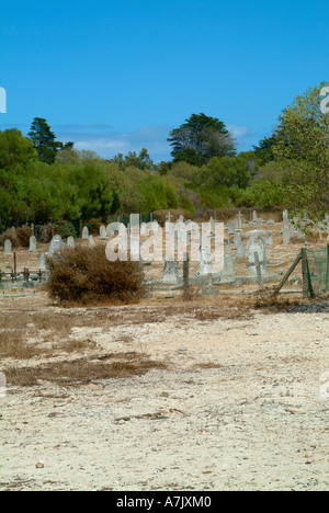 Cimetière lépreux sur Robben Island dans la province du Cap Cape Town Afrique du Sud Banque D'Images