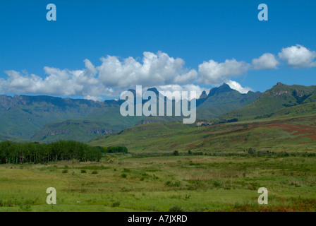 Corne intérieure et extérieure de la cloche et de Cathedral Peak, dans la chaîne de montagnes du Drakensberg royaume zoulou Kwazulu Natal Banque D'Images