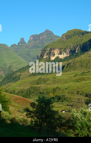 La cloche et Cathedral Peak Montagne Gamme Drakensberg encadrée dans les branches de l'Afrique du Sud Banque D'Images