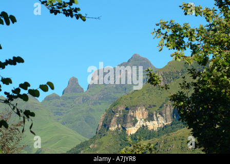 La cloche et Cathedral Peak Montagne Gamme Drakensberg encadrée dans les branches de l'Afrique du Sud Banque D'Images