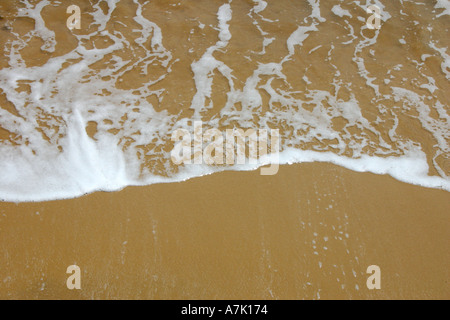 Écume de mer sur une plage de sable. Banque D'Images