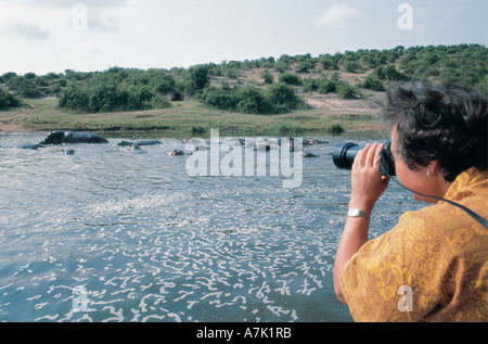 La photographie hippo du lancement national du Canal de Kazinga Parc national Queen Elizabeth en Ouganda Banque D'Images