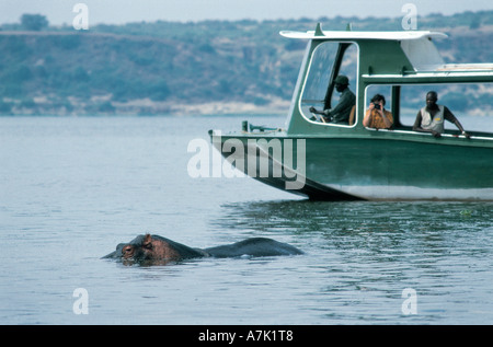 La photographie hippo du lancement national du Canal de Kazinga Parc national Queen Elizabeth en Ouganda Banque D'Images