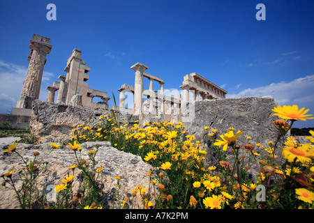 Grèce GOLFE DE SAROS EGINA ISLAND L'ancien temple dorique D'AFAIA DEBOUT SUR LA COLLINE ET SURPLOMBANT LE PRINTEMPS À AGHIA MARINA Banque D'Images