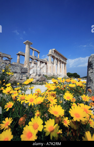 Grèce GOLFE DE SAROS EGINA ISLAND L'ancien temple dorique D'AFAIA DEBOUT SUR LA COLLINE ET SURPLOMBANT LE PRINTEMPS À AGHIA MARINA Banque D'Images