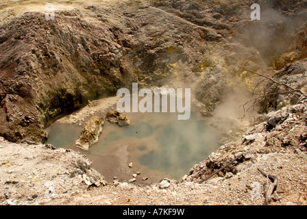 Birds Nest Crater Wai-O-Tapu Rotorua Nouvelle Zélande Île du Nord Banque D'Images