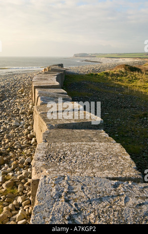 Défenses côtières à Limpert Bay à l'Aberthaw Power Station Aberthaw Wales UK Banque D'Images