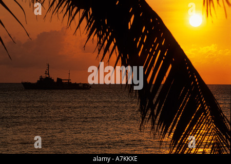 Coucher du soleil Aldabra Atoll d'Aldabra Atoll Seychelles Océan Indien Banque D'Images
