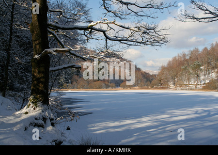 Hiver neige lac gelé Yew Tree Tarn près de Coniston cumbria lake district national park en Angleterre Banque D'Images