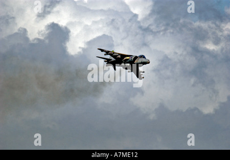 Harrier Jump Jet en vol Banque D'Images