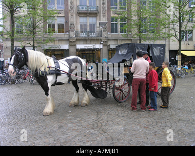Les gens debout à côté d'un cheval et un chariot Tour de ville à Amsterdam Banque D'Images