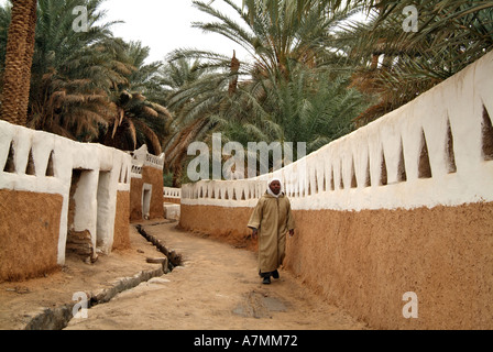 Rue bordée de palmeraies avec canal d'irrigation dans la vieille ville de Ghadamès, Libye, Banque D'Images