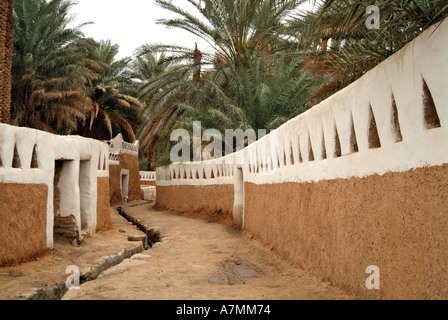 Rue bordée de palmeraies avec canal d'irrigation dans la vieille ville de Ghadamès, Libye, Banque D'Images