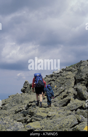 Amérique du Nord, Etats-Unis, NH, sentier des Appalaches. Près de Mt. L'État de Washington. Sur le sentier de Gulfside. Banque D'Images