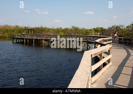 Anhinga trail boardwalk everglades national park de l'état prises en début de soirée etats-unis floride usa Banque D'Images