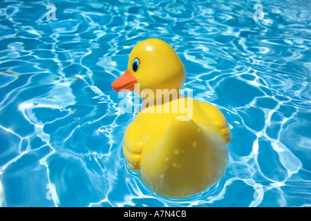 Rubber Duck in pool Banque D'Images