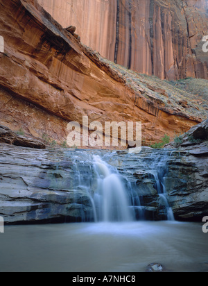 Une chute sur l'Escalante River Coyote Gulch, Grand Staircase-Escalante Nat'l Monument, Utah Banque D'Images