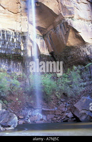 Amérique du Nord, USA, Utah, Zion National Park. Emerald pool supérieure à la base du mur de grès. Automne Banque D'Images