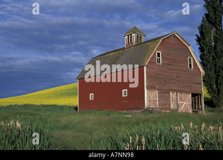 NA, USA, Washington, au NW de Colfax, grange rouge et champ de canola Banque D'Images