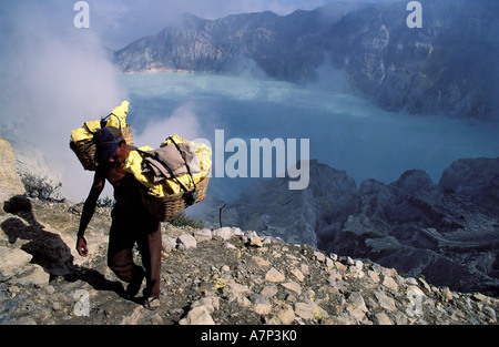 L'Indonésie, Java, Kawa Ijen volcano, un transporteur de soufre avec une charge de 360 livres Banque D'Images