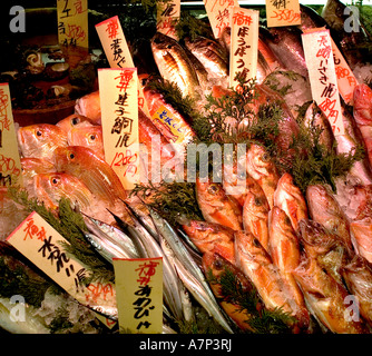 Tokyo Japon le marché du poisson Tsukiji est le plus grand marché de gros de poissons et de fruits de mer au monde. Vente aux enchères de thon, japonais Banque D'Images