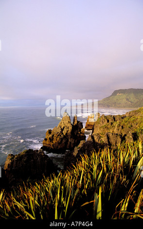 Nouvelle Zélande, île du Sud, côte ouest, zone de Punakaiki Banque D'Images