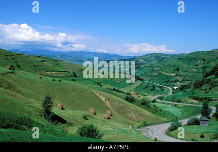 Roumanie, le Maramures, région des montagnes Carpates Banque D'Images