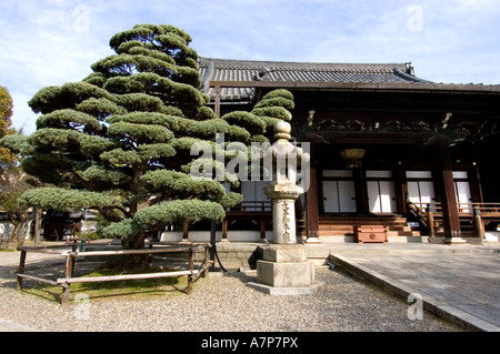 Le sanctuaire de Meiji Jingu jardin intérieur empereur de Tokyo Banque D'Images