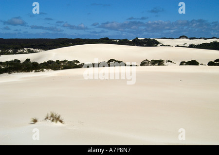 Dunes dans la région appelée Little Sahara Kangaroo Island Australie Banque D'Images