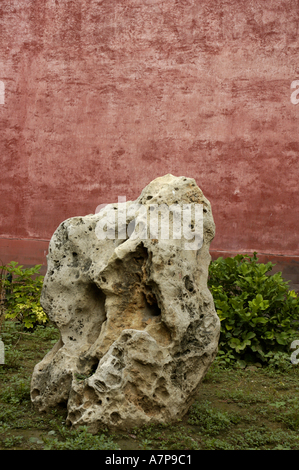 Chinois Chine Pékin la cité interdite rock dans le jardin impérial Banque D'Images