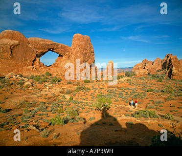 La section Windows, Arches National Park, Utah, USA Banque D'Images