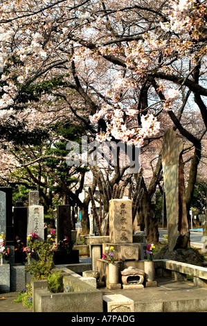 Cimetière d'Aoyama tombe cimetière tombe Tokyo Japon Banque D'Images