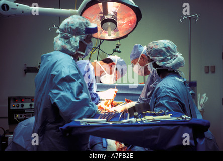 Prestation de l'équipe chirurgicale en salle d'opération de transplantation rénale Banque D'Images