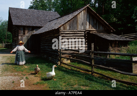 Montagnes des Appalaches de Virginie, Appalaches du Sud, Shenandoah, Blue Ridge Parkway, National Park Service, route pittoresque, voyage en voiture, natura historyl, natur Banque D'Images