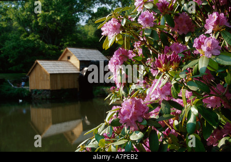 Montagnes des Appalaches de Virginie, Appalaches du Sud, Shenandoah, Blue Ridge Parkway, National Park Service, route pittoresque, voyage en voiture, natura historyl, natur Banque D'Images