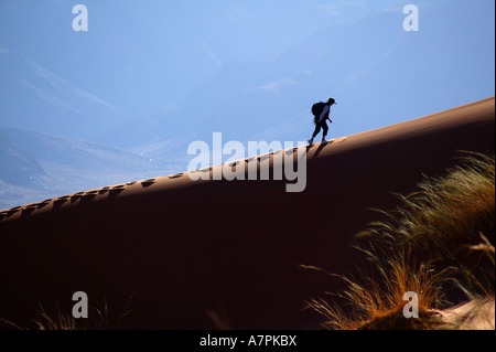 Un randonneur monte la crête d'une dune de sable dans le désert du Namib Namibie Namibrand Nature Reserve Banque D'Images