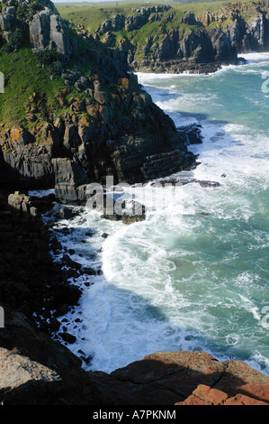 L' ouest littoral vu de Morgan Bay cliffs Morgan Bay Eastern Cape Afrique du Sud Banque D'Images