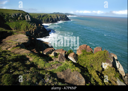 L' ouest littoral vu de Morgan Bay cliffs Morgan Bay Eastern Cape Afrique du Sud Banque D'Images