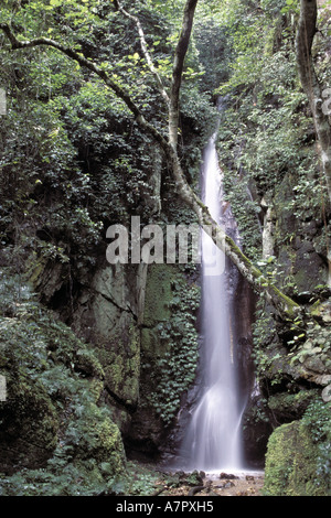 Cascade, Tanzanie, Gombe np Banque D'Images