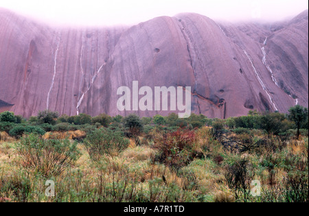 L'Australie, Territoire du Nord, Ayers Rock ou Uluru, la montagne sacrée des Aborigènes au cours d'un orage Banque D'Images