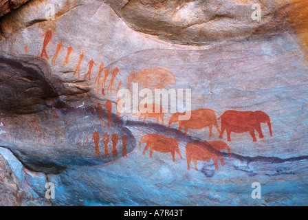 Peintures rupestres San en ocre des éléphants et des figures humaines Cedarberg Western Cape Afrique du Sud Banque D'Images