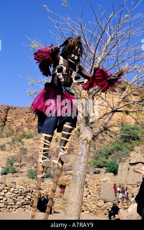 Mali, Pays Dogon, Dama dances (fin du deuil) dans le village de Tereli, masque sur échasses Tourterelle à froid Banque D'Images