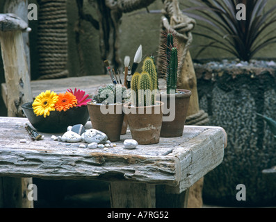 Close up de table avec des brosses et cactii à l'artiste le jardin de rhs Chelsea Flower Show 2003 Banque D'Images