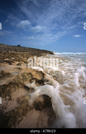 Plage avec des vagues se brisant sur les roches Cozumel mexique extrêmement faible vers l'angle de vue des yeux Banque D'Images