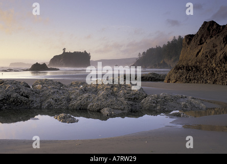 NA, USA, Washington, Coucher du soleil, le NPS Olympique Ruby Beach Banque D'Images