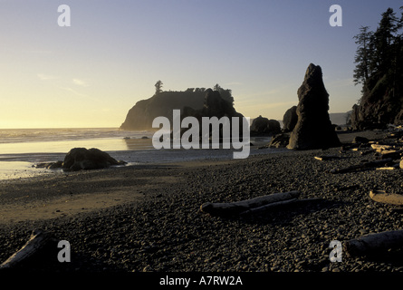 NA, USA, Washington, Olympic NP Coucher du soleil à Ruby Beach Banque D'Images