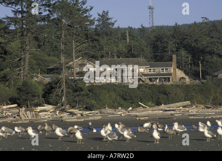 NA, USA, Washington, Olympic NP, Kalaloch Beach. Kalaloch Lodge Banque D'Images